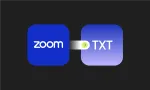 How to transcribe Zoom meetings: Methods and best practices